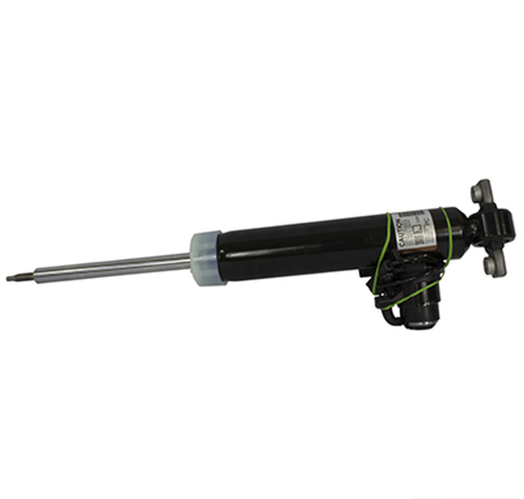 Motorcraft ASH25799 Shock Absorber Assembly
