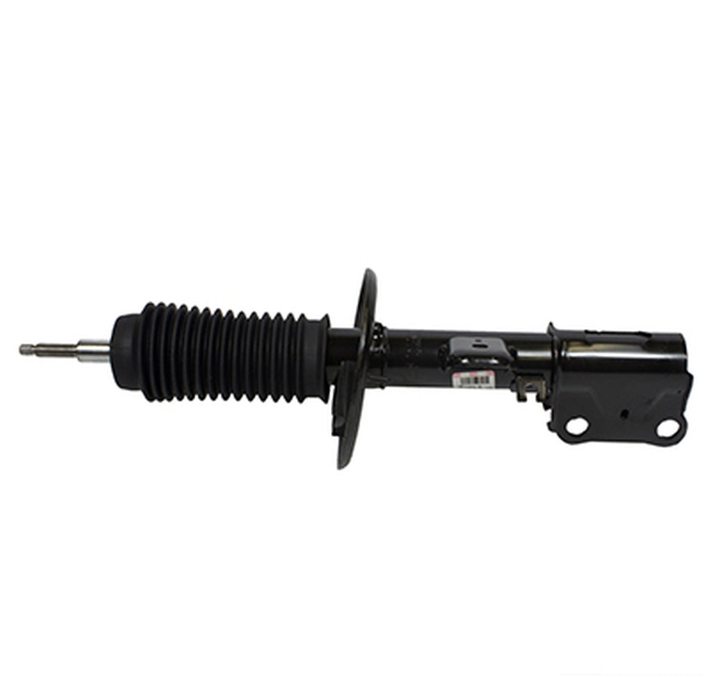 Motorcraft AST12270 Shock Absorber Assembly Front