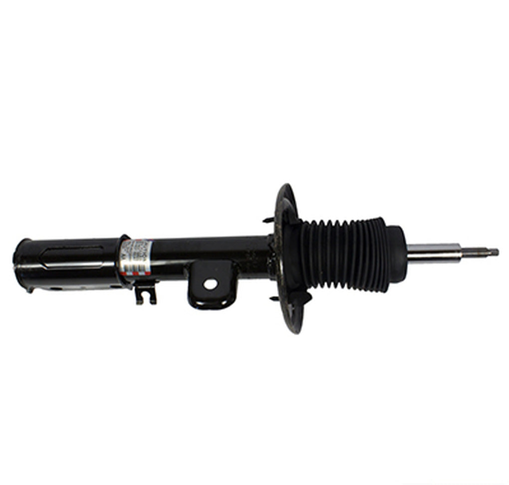 Motorcraft AST12297 Shock Absorber Assembly