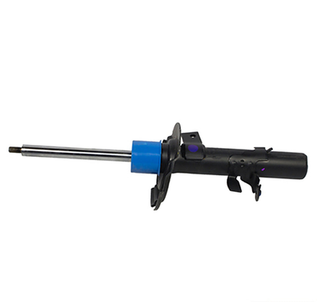 Motorcraft AST12305 Shock Absorber Assembly
