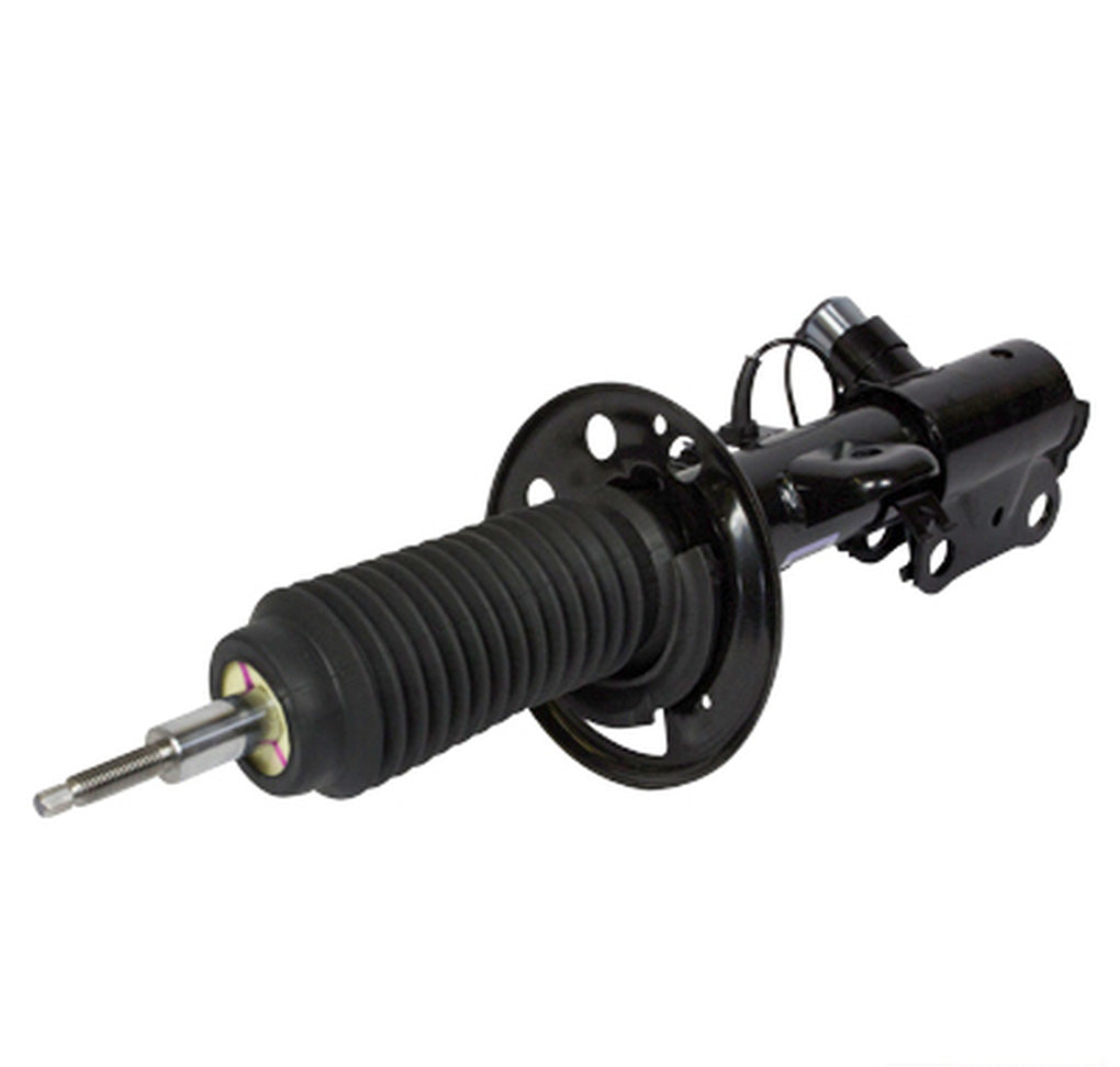 Motorcraft AST12316 Strut Suspension