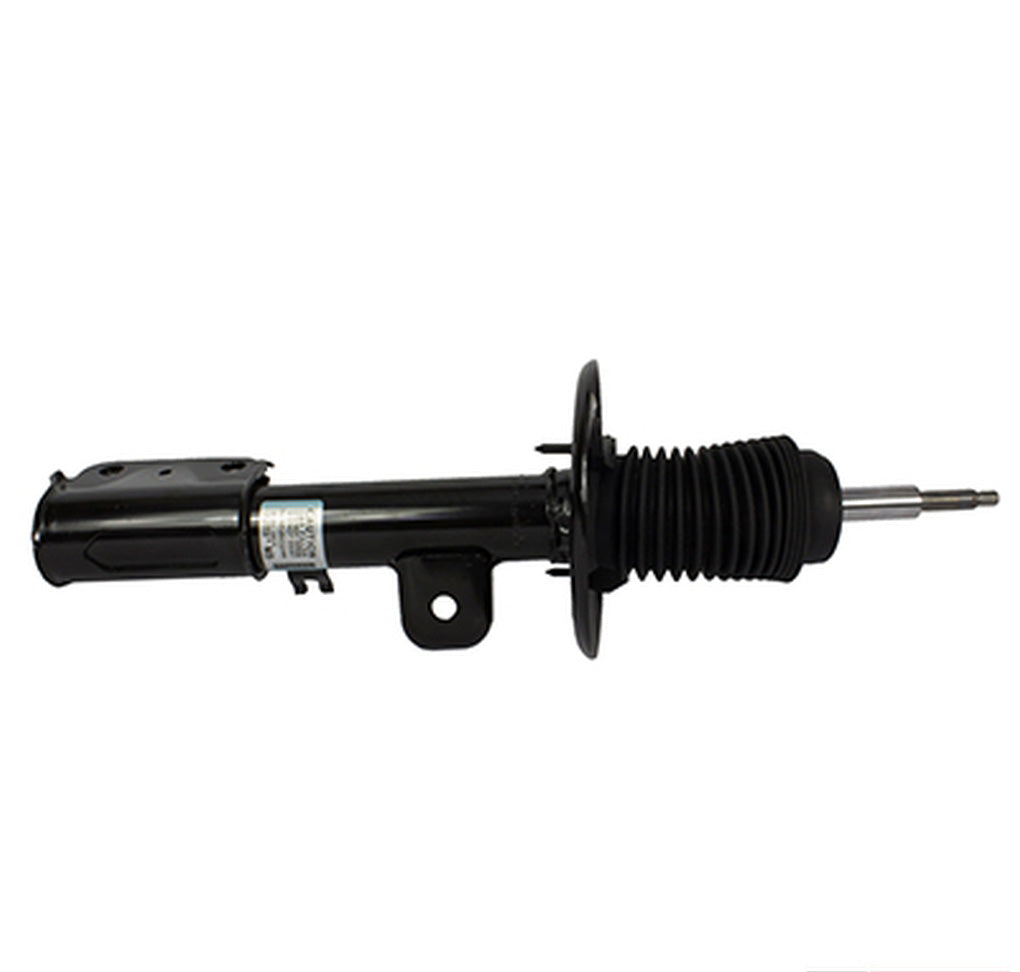 Motorcraft AST12349 Shock Absorber Assembly
