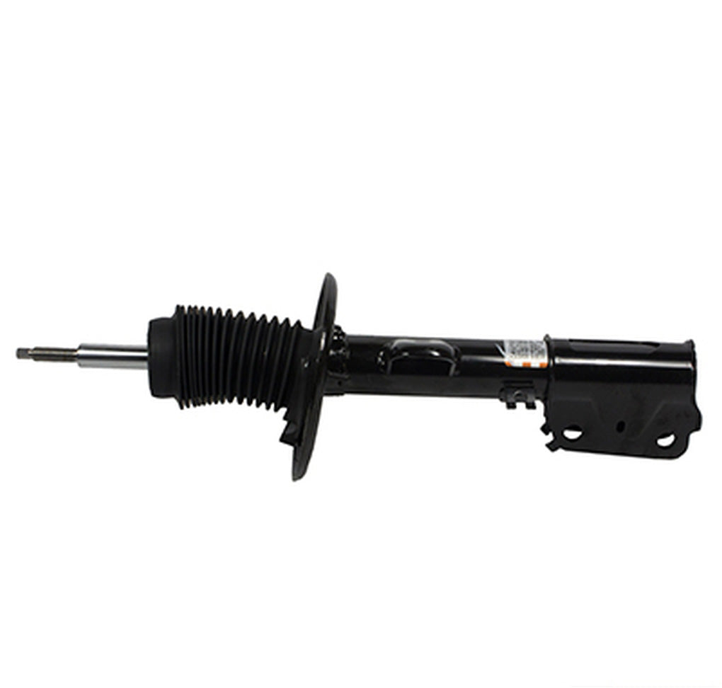 Motorcraft AST12359 Shock Absorber Assembly Front