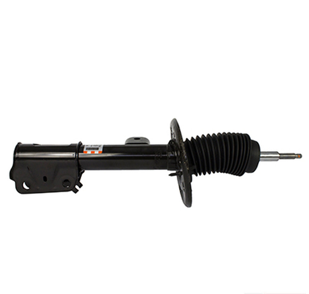 Motorcraft AST24665 Shock Absorber Assembly Front