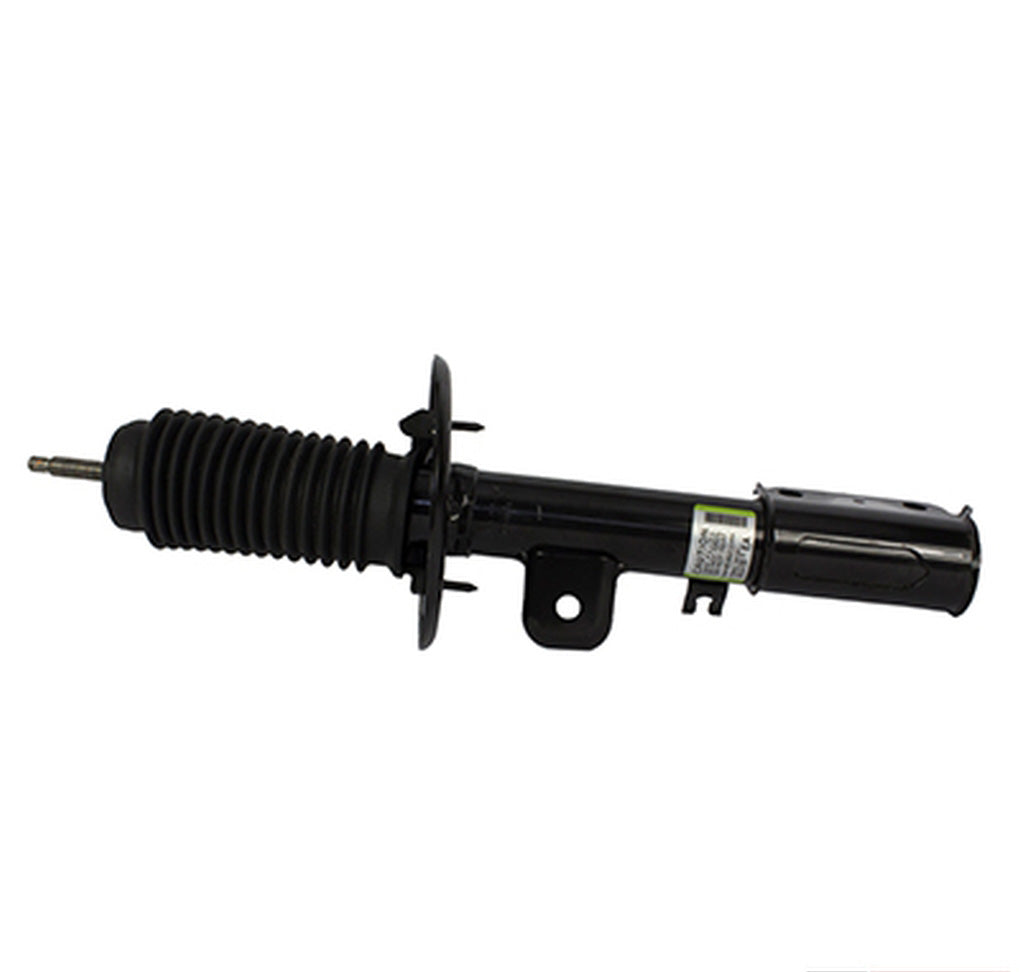 Motorcraft AST24666 Shock Absorber Assembly Front