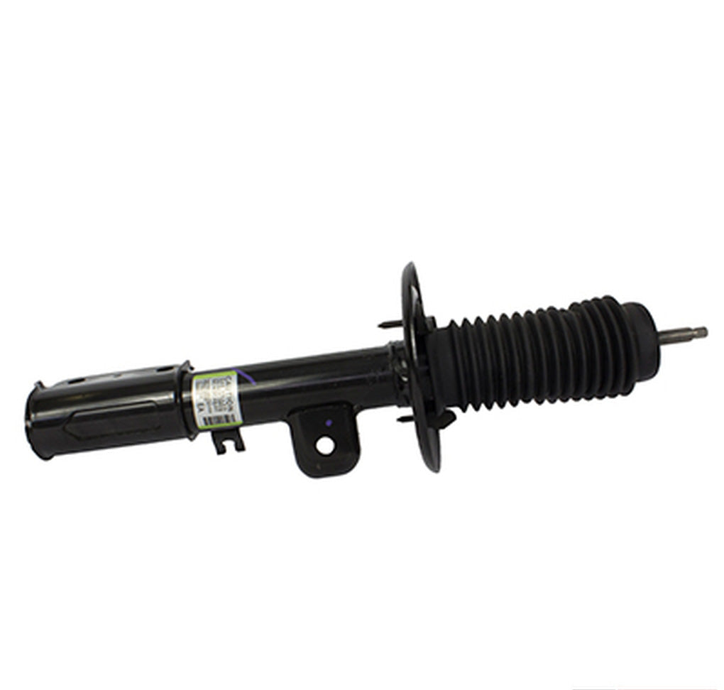 Motorcraft AST24674 Shock Absorber Assembly