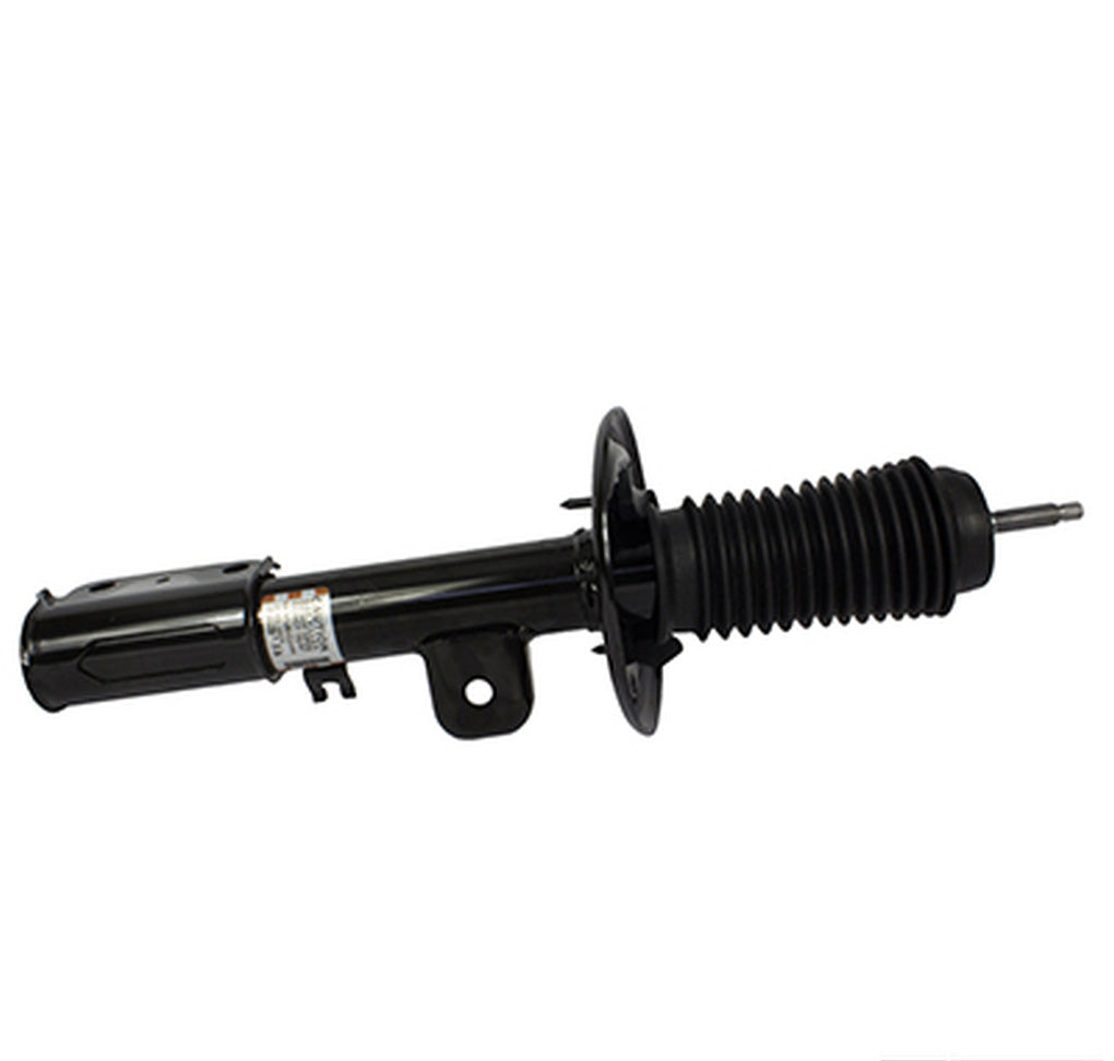 Motorcraft AST24675 Shock Absorber Assembly