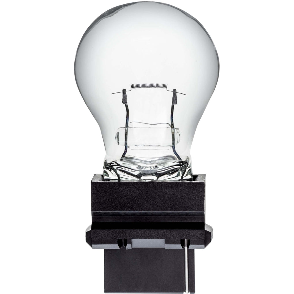 Auveco B3156 Industry Standard 3156 Bulb