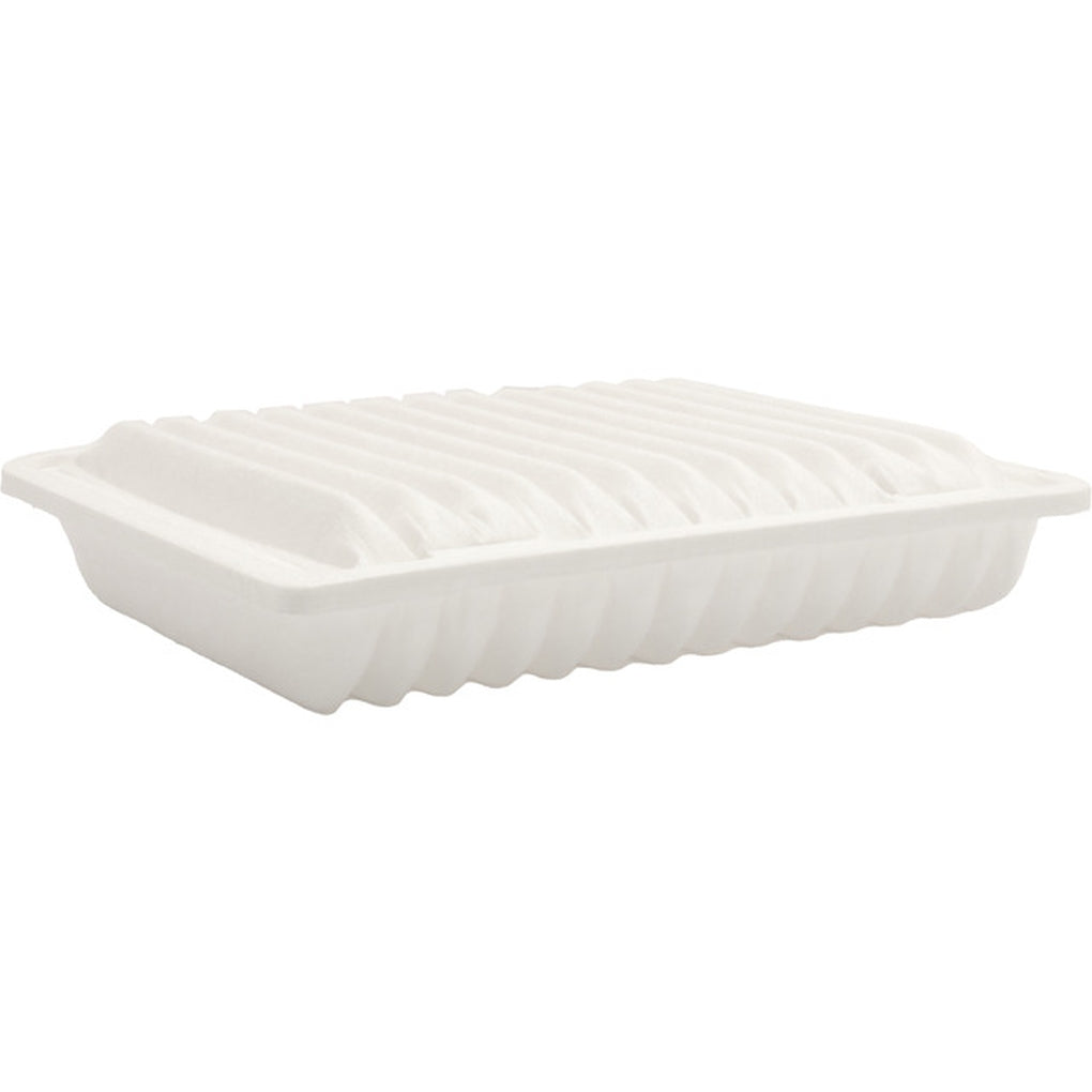 FRAM CA10910 Rigid Panel Air