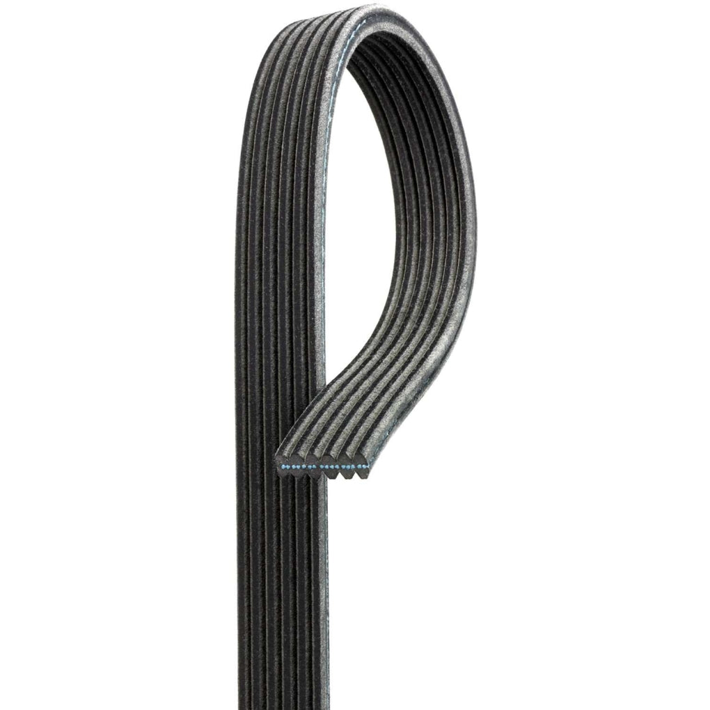 Gates DK060702 Century Series Premium OE Dual Sided Micro-V Belt