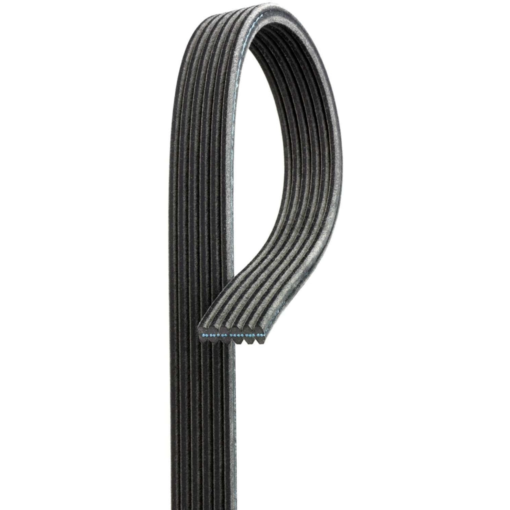 Gates DK070551 Century Series Premium OE Dual Sided Micro-V Belt