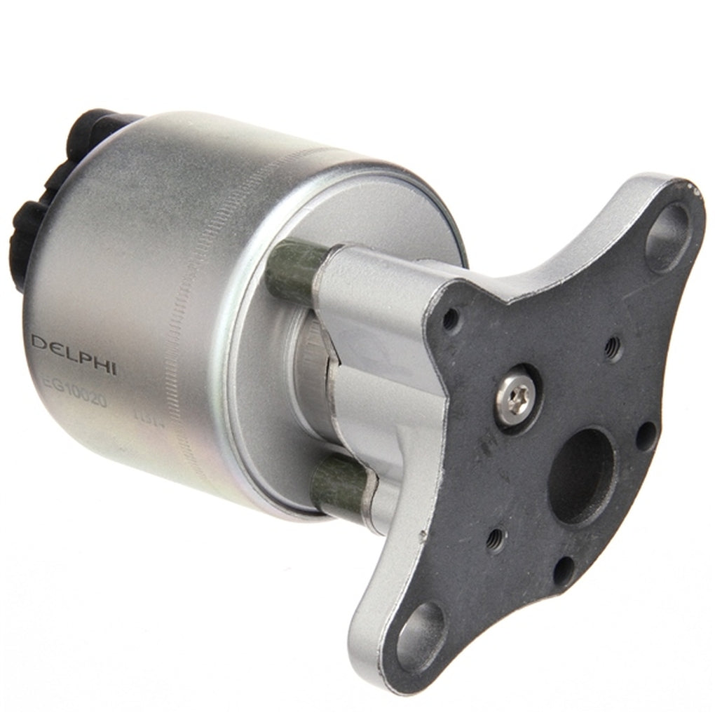 Delphi EG10020 EGR VALVE