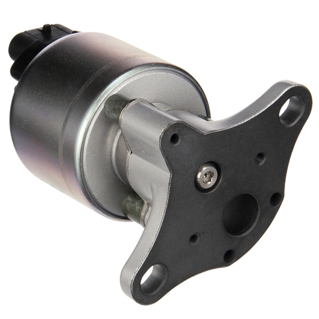 Delphi EG10175 EGR VALVE