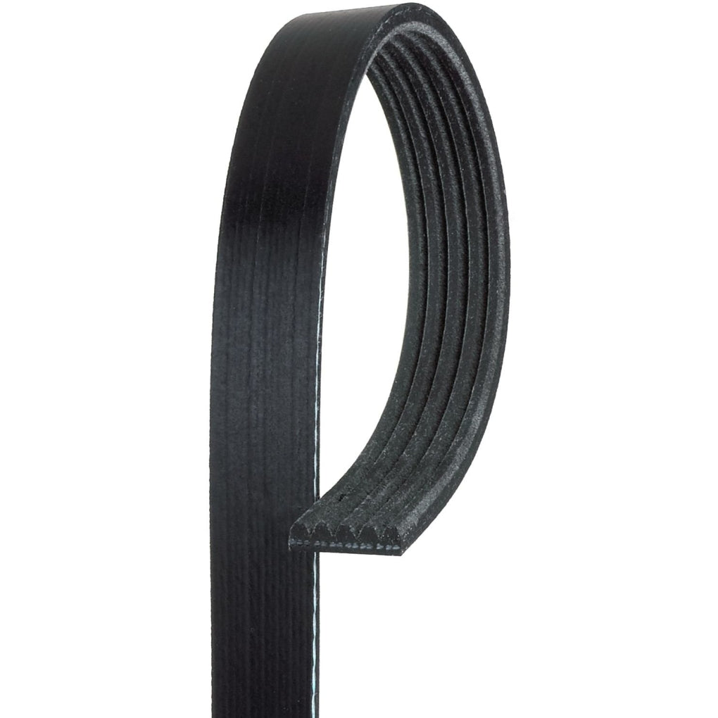 Gates K050665 Century Series Premium OE Micro-V Belt