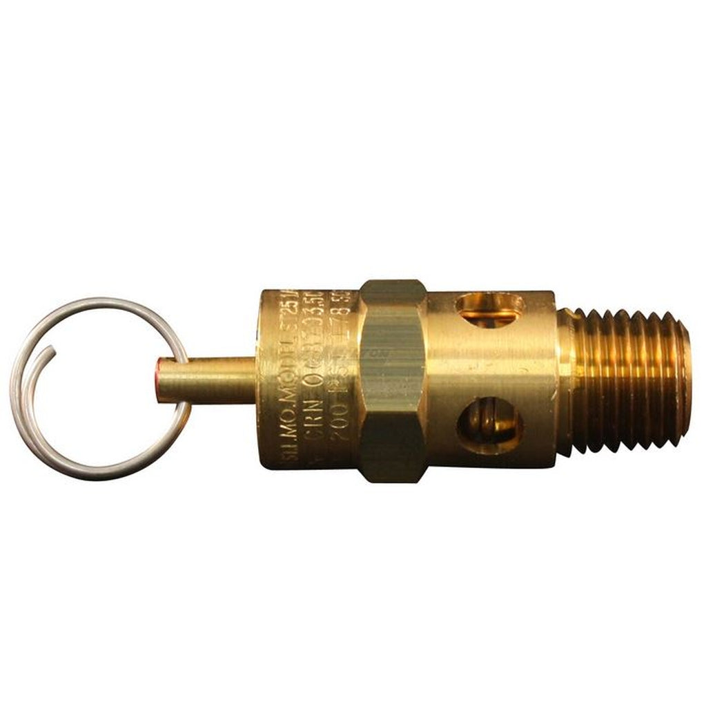 Milton S-1090-200 ASME Saf. Valve 1/4in. NPT 200 PSI