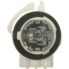 Standard S-1725 Tail Lamp Socket