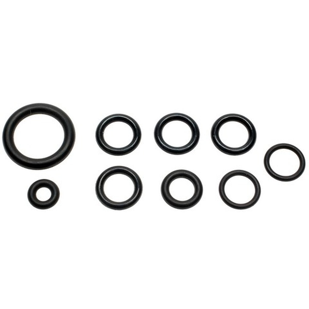 Standard SK24 Fuel Rail O-Ring Kit