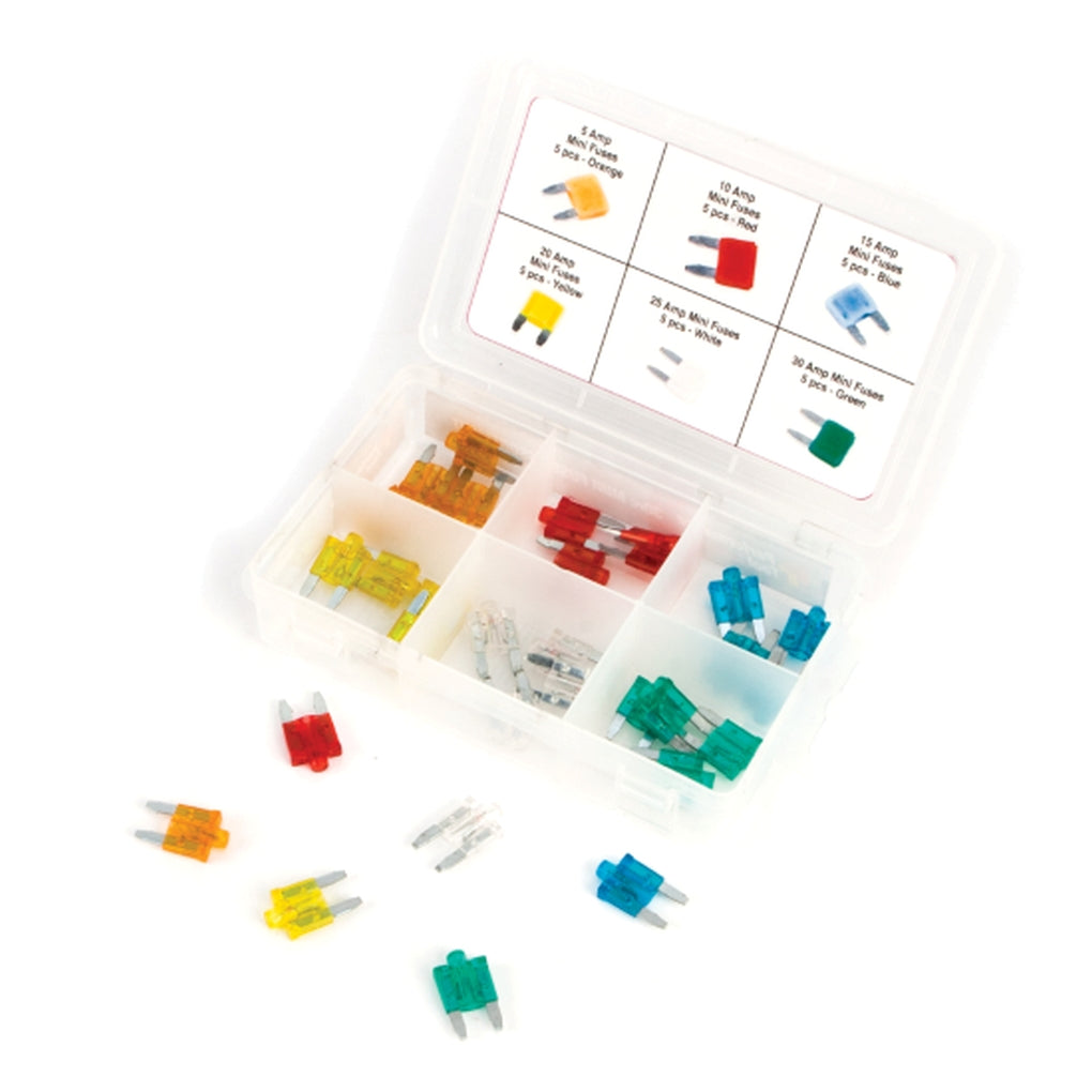 Wilmar Performance Tool W5377 30-Piece Mini Fuse Assortment